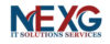 NexG IT Solutions